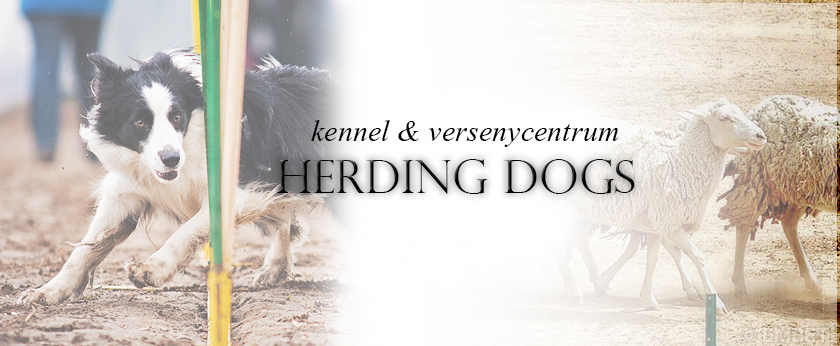 Herding Dogs Center